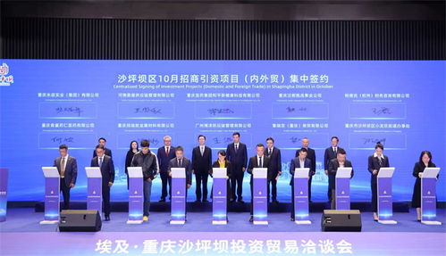 重慶沙坪壩投資貿(mào)易洽談會(huì)成功舉行，簽約6個(gè)對(duì)非經(jīng)貿(mào)合作項(xiàng)目助力信息咨詢服務(wù)升級(jí)